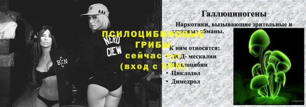 MDMA Богородицк