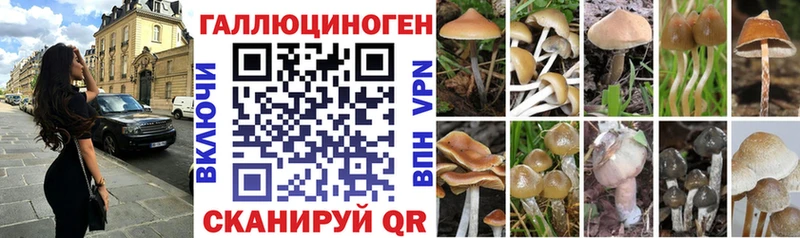Псилоцибиновые грибы GOLDEN TEACHER  Купить закладки  Лагань 